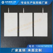 離子/電解水機(jī)用鈦陽極 釕銥電極 鉑電極