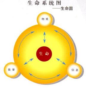 電解水對人體的好處(圖1)